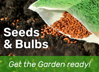 Seeds & Bulbs